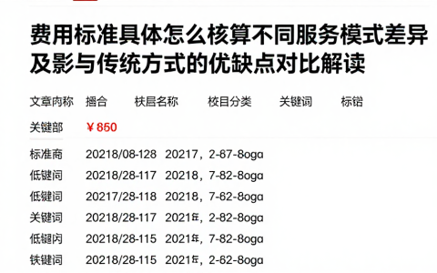 费用标准具体怎么核算不同服务模式差异及影与传统方式的优缺点对比解读
