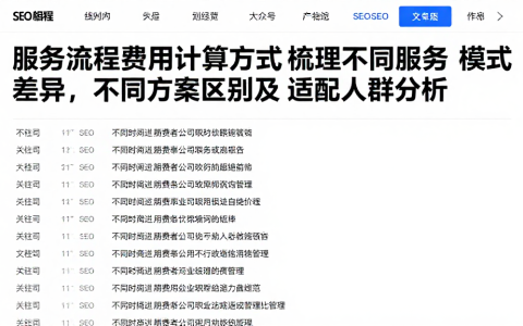 服务流程费用计算方式梳理不同服务模式差异，不同方案区别及适配人群分析